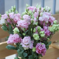 Эустомы поштучно