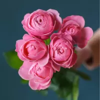 Кустовые розы поштучно Кустовые розы поштучно