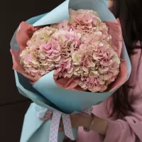 Монобукеты Монобукеты