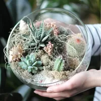 Флорариумы (мини-сады)