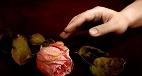 Букет засох. Выбросить или использовать?