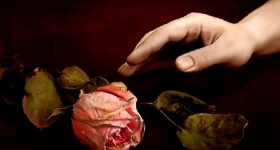 Букет засох. Выбросить или использовать?