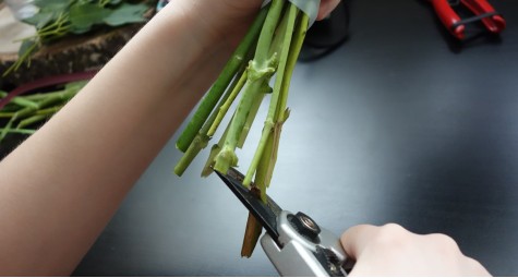 Как продлить жизнь цветов