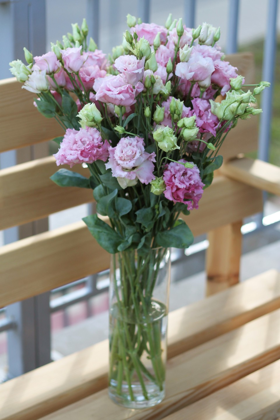 Эустома Алиса розовая