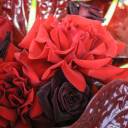 Букет Сингулярность - с доставкой по Минску - миниатюра