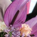 Коробочка Кассиопея - подарочное оформление - миниатюра