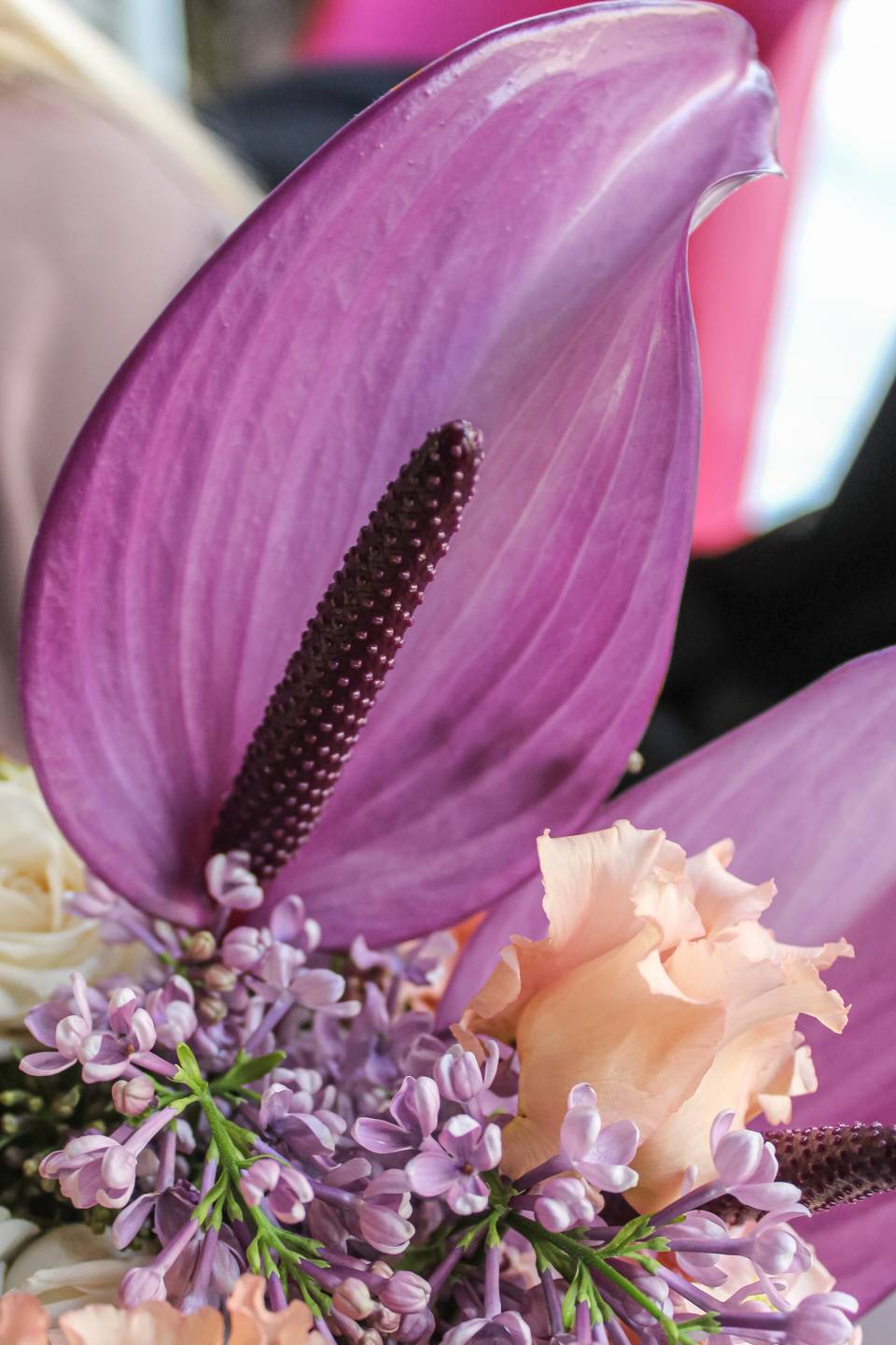 Коробочка Кассиопея - подарочное оформление