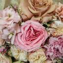 Букет Звезда Вега - с доставкой по Минску - миниатюра