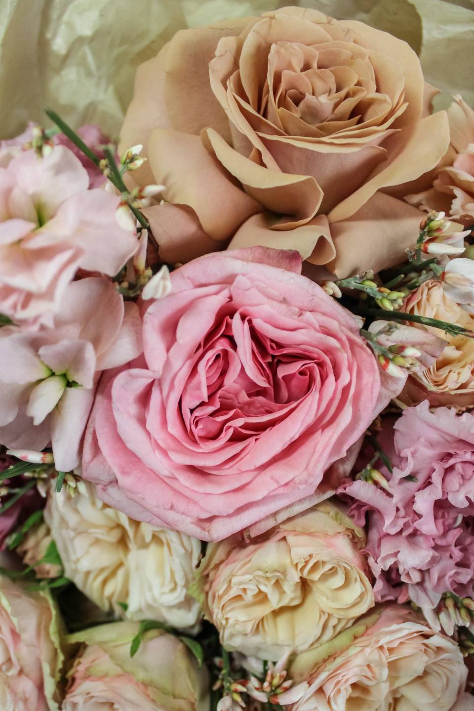 Букет Звезда Вега - с доставкой по Минску