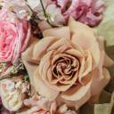 Букет Звезда Вега - подарочное оформление - миниатюра