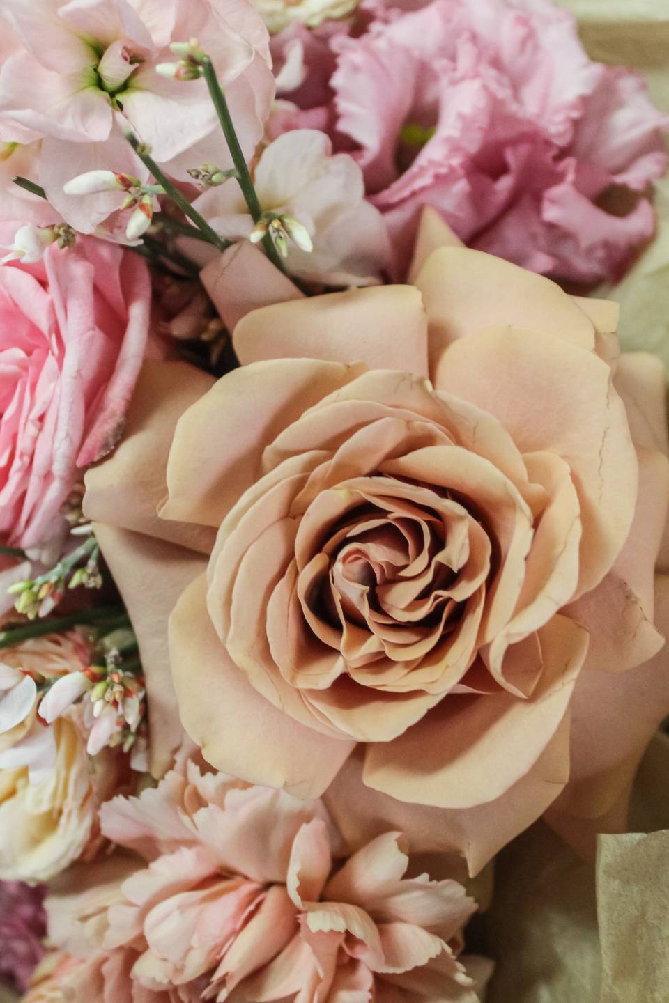 Букет Звезда Вега - подарочное оформление