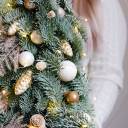 Ель новогодняя Лесная Гостья - с добавлением зелени - миниатюра 