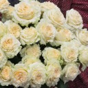 Кустовая роза Самер Роуз (Sammer Rose) - миниатюра