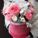 Коробочка Калибри - миниатюра