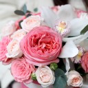 Коробочка Калибри - с доставкой по Минску - миниатюра