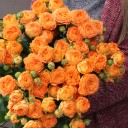 Кустовая роза Оранж Трендсеттер (OrangeTrendsetter) - с доставкой по Минску - миниатюра