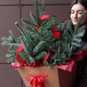 Новогодний бокс Елкины сюрпризы - миниатюра