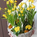 Корзина Солнечный День - с доставкой по Минску - миниатюра