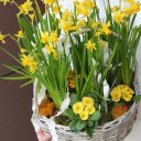 Корзина Солнечный День - подарочное оформление - миниатюра