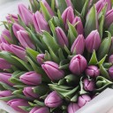 Букет с розовыми тюльпанами Розовый цвет - с доставкой по Минску - миниатюра
