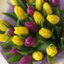 Букет из 25 тюльпанов Синдел - с доставкой по Минску - миниатюра