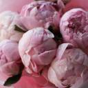 Букет Чудесный пион - с доставкой по Минску - миниатюра