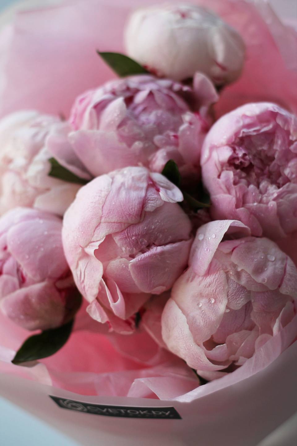 Букет Чудесный пион - с доставкой по Минску