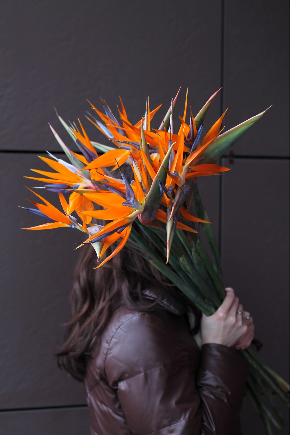 Стрелиция - быстрая доставка в Минске