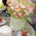 Композиция Алишань - миниатюра