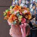 Коробочка Ситэла - миниатюра