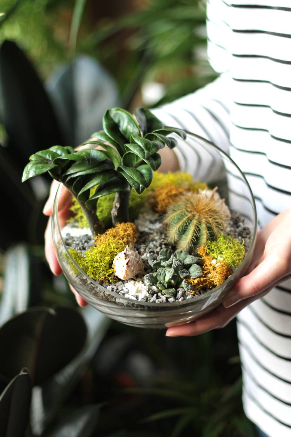 Флорариум Экзотика