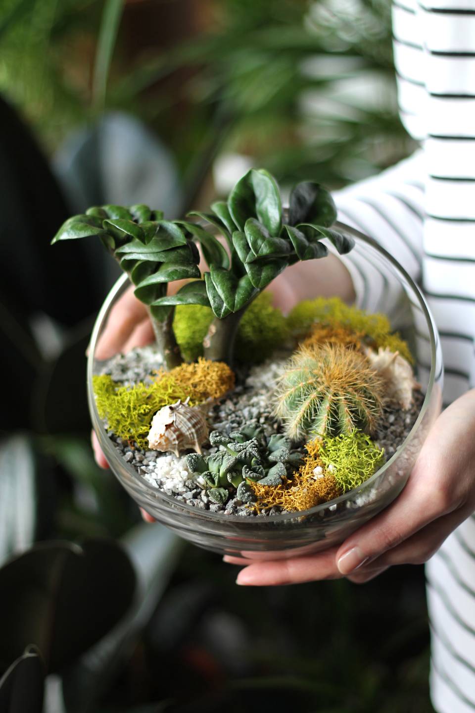 Флорариум Экзотика - с доставкой по Минску