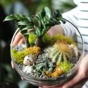 Флорариум Экзотика - с добавлением зелени - миниатюра 