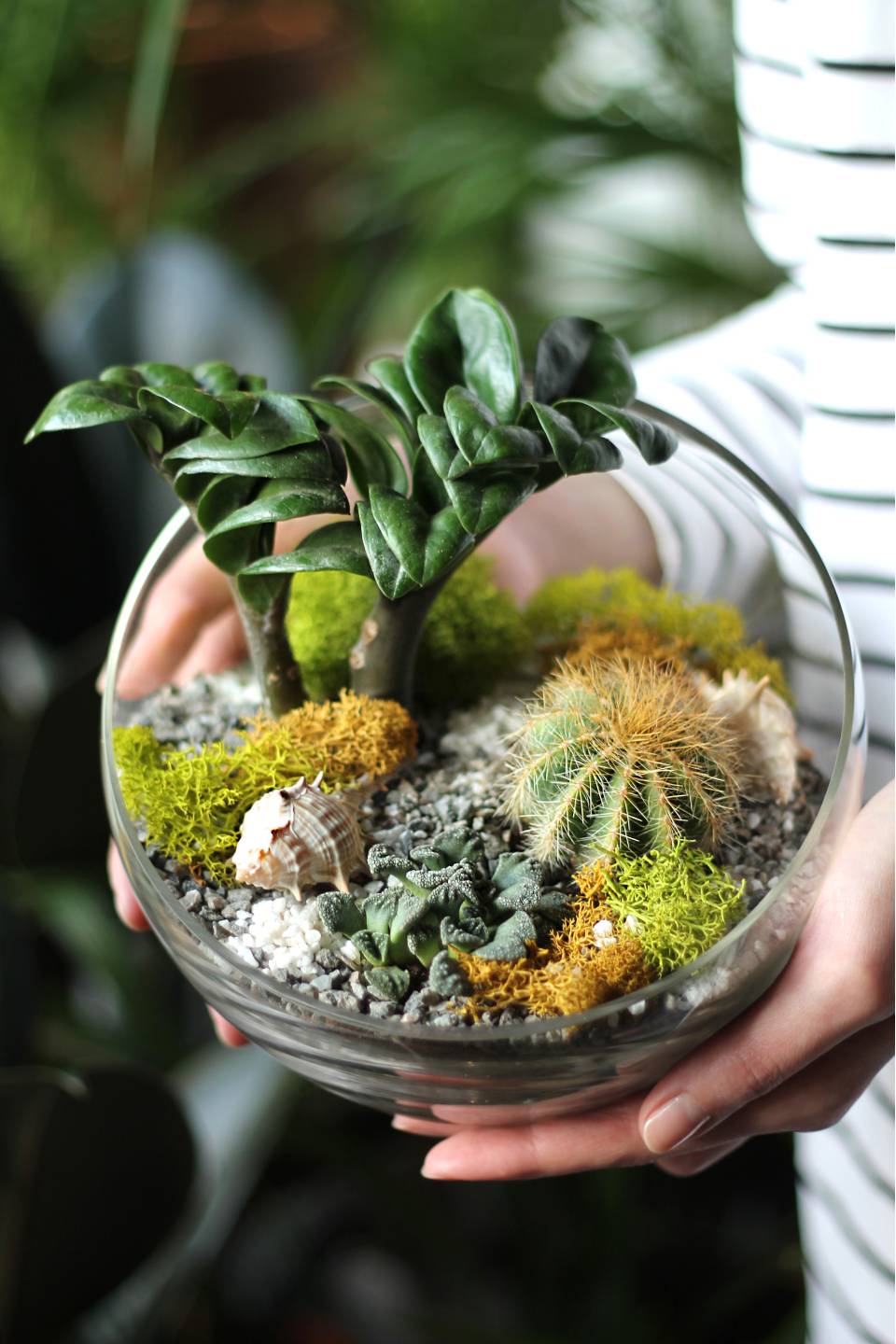 Флорариум Экзотика - с добавлением зелени