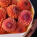 Букет Осенний Сюжет  - с доставкой по Минску - миниатюра