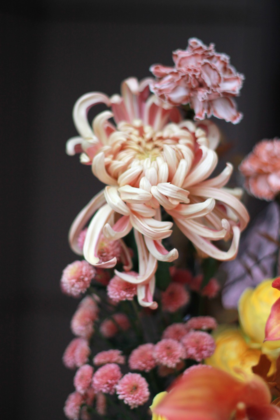 Букет Империал - подарочное оформление