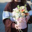 Композиция Молли - миниатюра