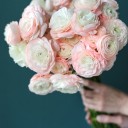 Ранункулюс Ханой (Лютик) - подарочное оформление - миниатюра