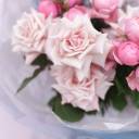 Букет Давай на море - с доставкой по Минску - миниатюра