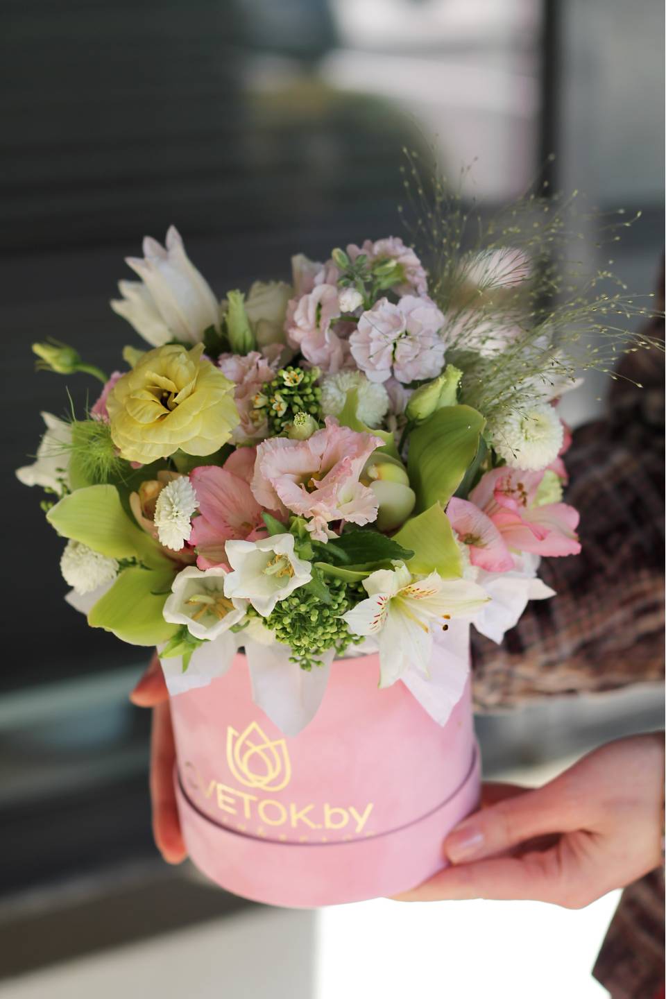 Коробочка Рамира - с доставкой по Минску