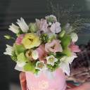 Коробочка Рамира - миниатюра