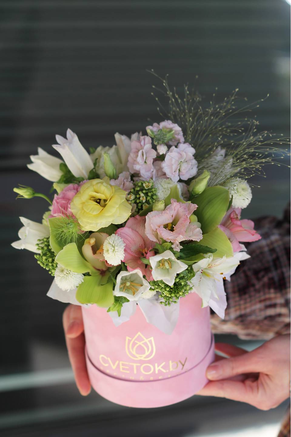 Коробочка Рамира