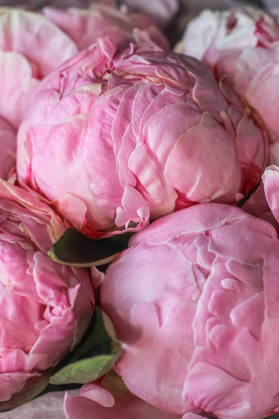 Букет Галактика - подарочное оформление