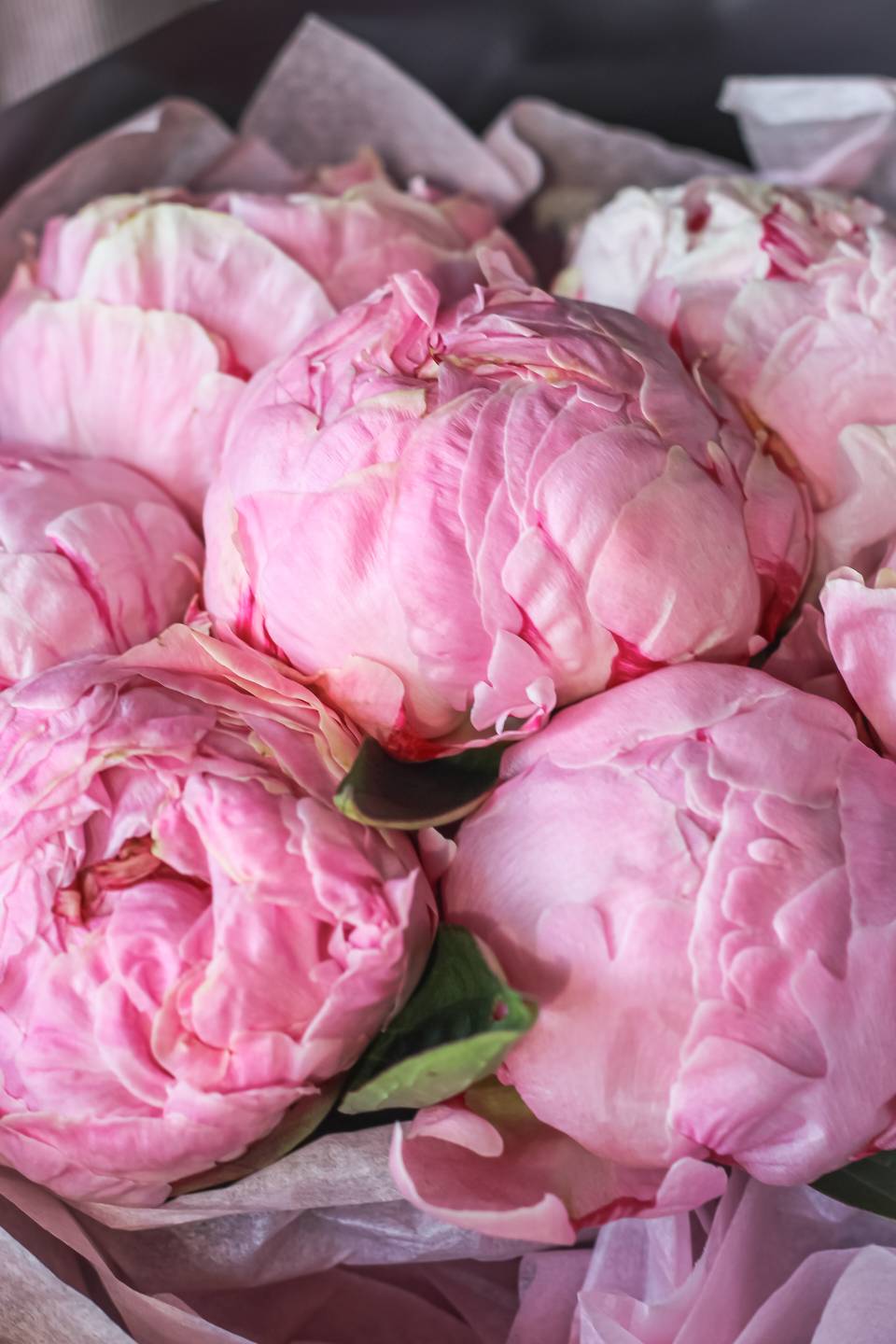 Букет Галактика - с доставкой по Минску