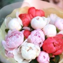 Букет из пионов Притяжение - быстрая доставка в Минске - миниатюра