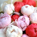 Букет из пионов Притяжение - с добавлением зелени - миниатюра 