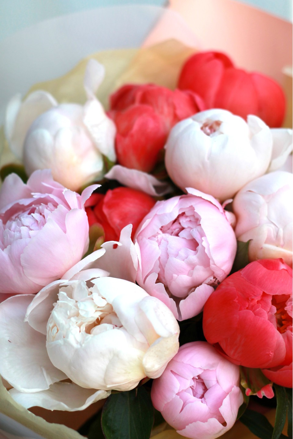 Букет из пионов Притяжение - с добавлением зелени