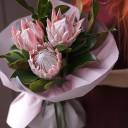 Букет Протея - миниатюра