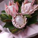 Букет Протея - с доставкой по Минску - миниатюра