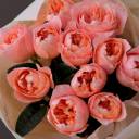 Букет Дракоша - с доставкой по Минску - миниатюра